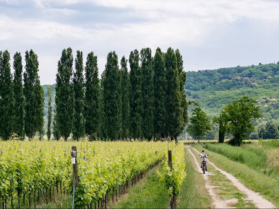 Team and operations of 11 GRANVILLE ROAD FREEHOLD MANAGEMENT LIMITED